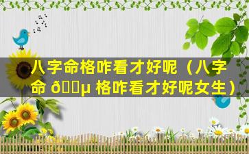 八字命格咋看才好呢（八字命 🌵 格咋看才好呢女生）